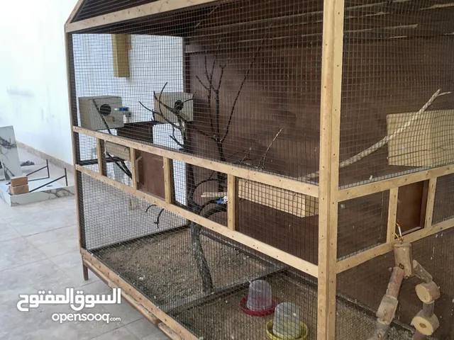قفص جماعي ماشاء الله