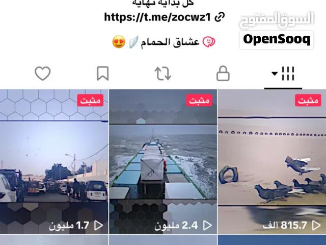 حساب تيك توك