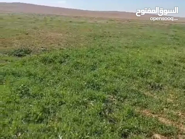 Farm Land for Sale in Amman Al-Rajila