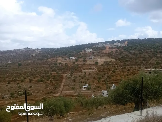 Residential Land for Sale in Ramallah and Al-Bireh Birzeit