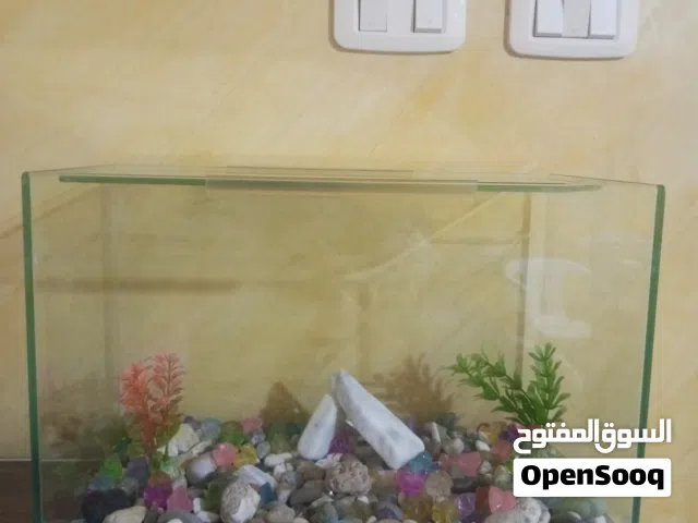 حوض سمك مستعمل