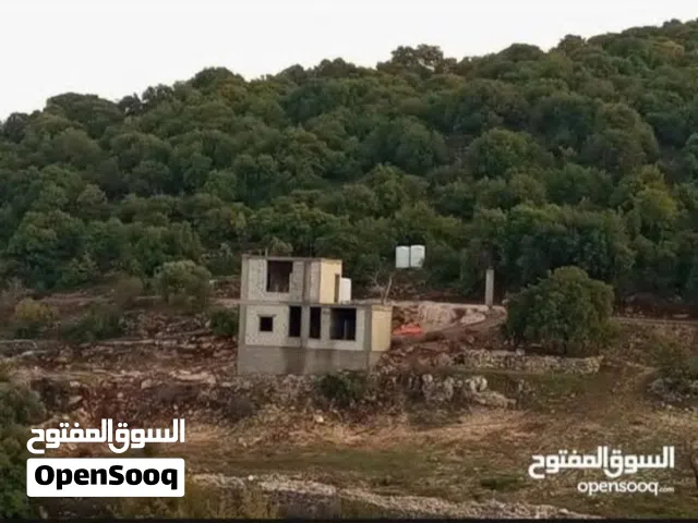 مزرعه للبيع مع بيت ريفي البيت عظم مثل ما هوه بصور