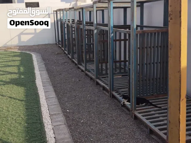 Heavy Duty Iron Pallets / Storage Racks for Sale