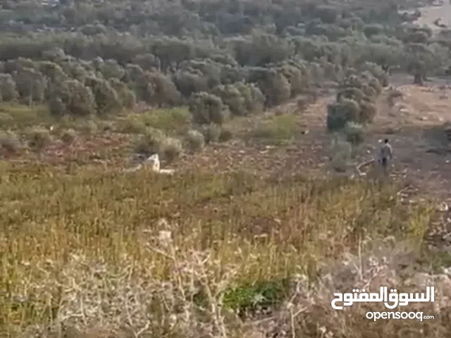 نمرتين للبيع في اسكان المهندسين