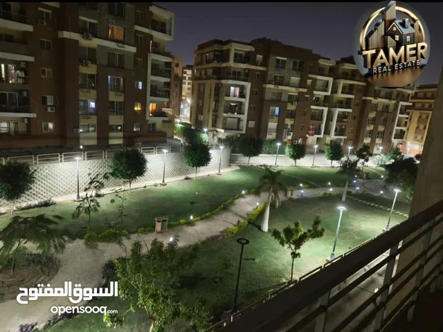 شقه دار مصر القرنفل