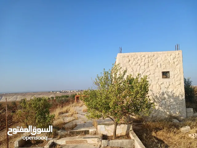مزرعه أربعه دونم مشيكه بالكامل ارض زراعيه وبيت ريفي غرفتين وحمام ومطبخ صغير وباربكيو وساحه واسعه