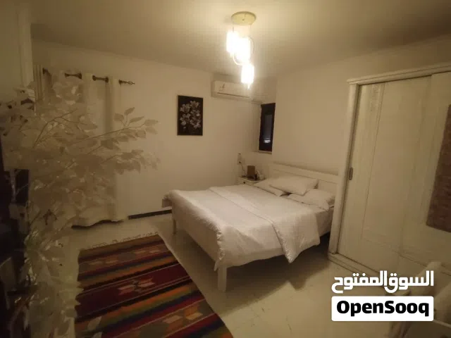 شقه للايجار مفروش سوبر لوكس ؛ الدقى