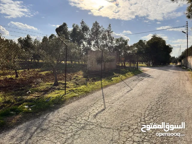 Residential Land for Sale in Amman Umm Al-Amad