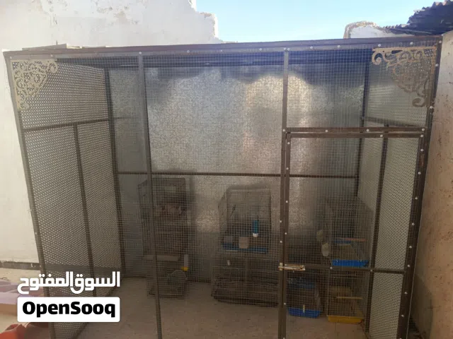 مطير حجم كبير