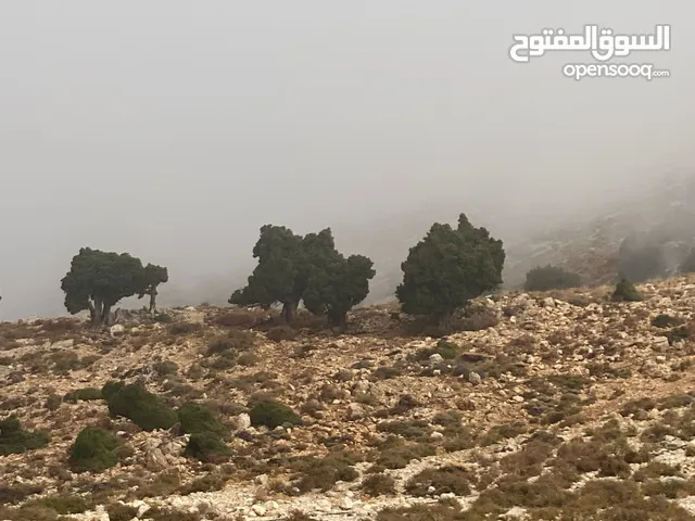 عقارات شمالية للاستثمار