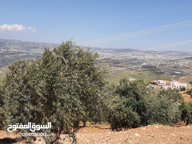 Mixed Use Land for Sale in Jerash Other