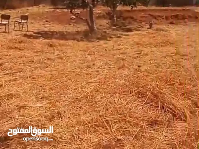 Residential Land for Sale in Ramallah and Al-Bireh Dayr Ibzi'