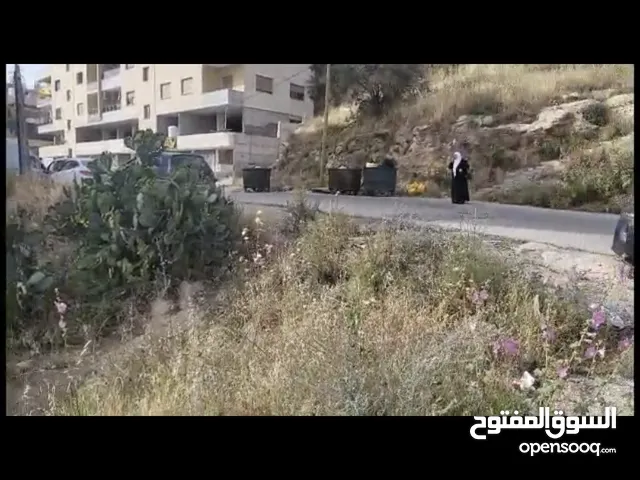Residential Land for Sale in Nablus Northern Mount