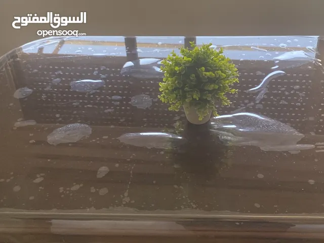 طاولة سفرة مع 6 كراسي