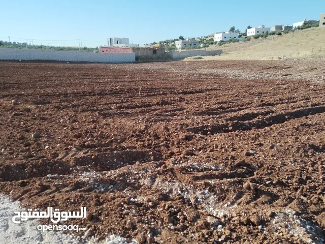 Farm Land for Sale in Mafraq Rhab