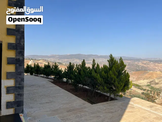 مزرعة في تل الرمان