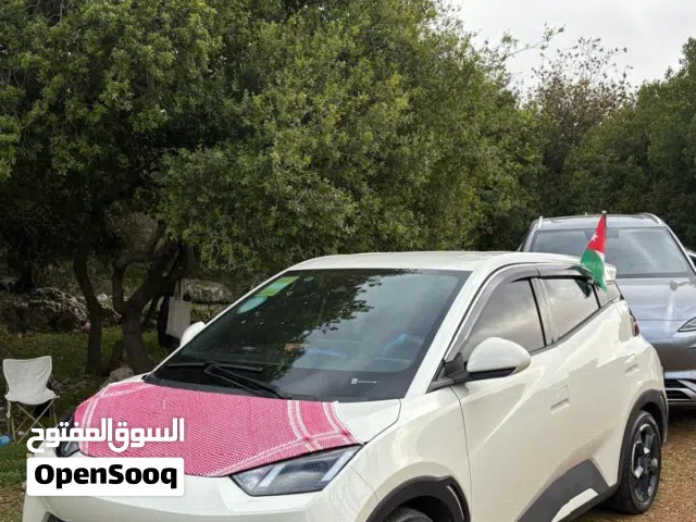 2024, بي واي دي, سيجول