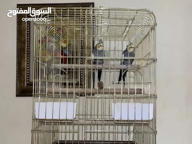 جوز كوكتيل اقرأ الوصف .
