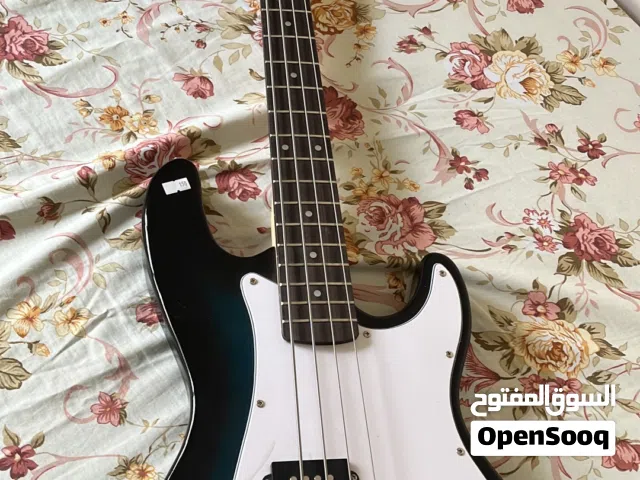 Bass sundamann with amplifier