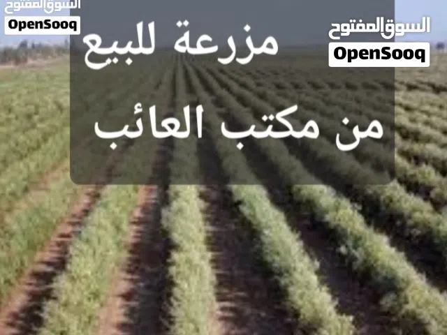 30 هكتار ولاية زغوان للبيع