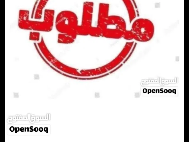 مطلوب بيض فري او حجل او براهما