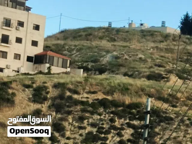 Residential Land for Sale in Amman Naour