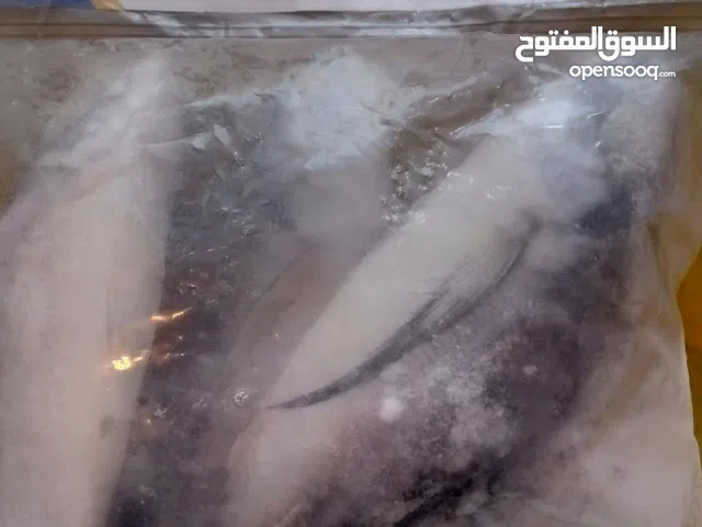 سمك زبيدي نهري وسمك حمام مجمد