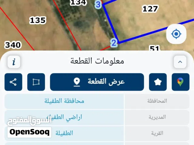 Mixed Use Land for Sale in Tafila Other