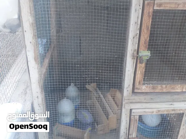 بارتيات مستعملة للبيع