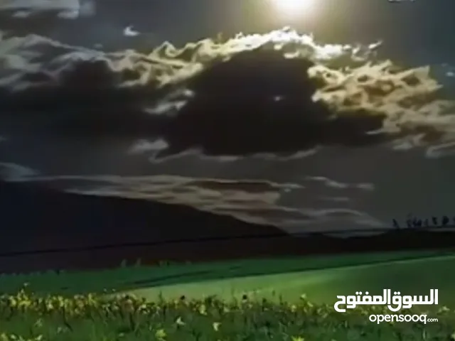 رخصه للبيع شركه معدات الالات خفيفه وثقيله