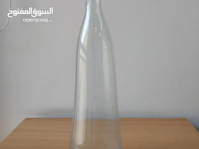 Elegant Clear Glass Vase – Minimalist Design for Home or Office