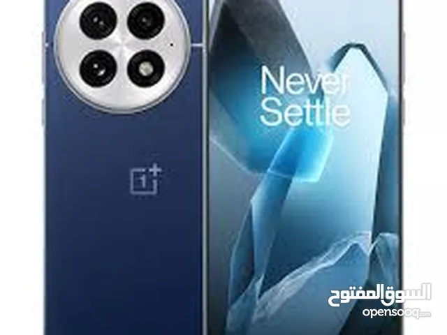 oneplus 13