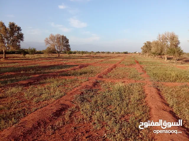 Mixed Use Land for Sale in Agadir Route de Marrakech