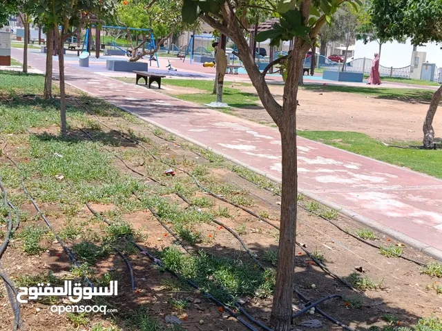 Bed Space Available – Near Khalidiyah Mall (In front of BBC) Executive Big Hall Room in a br