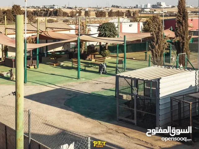 فندق ومركز لتدريب الكلاب