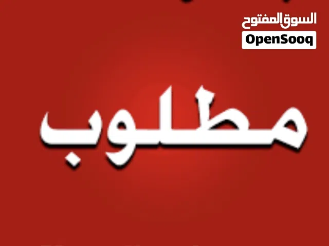 موقع مركز صيانة سيارات الايجار