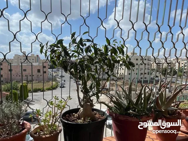 للبيع شقة مميزة بمساحة 160 متر مربع 3 غرف نوم 3 حمامات بمنطقة ضاحية الياسمين بجانب مستشفى الحياة