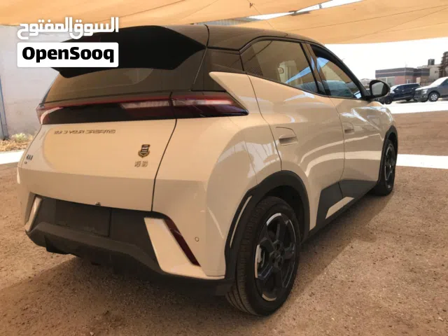 2023 بي واي دي سيجول