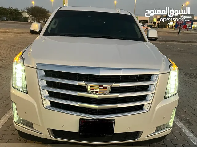 Used Cadillac Escalade in Al Ain