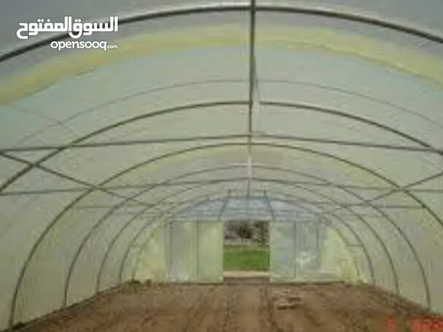 متوفر محميات