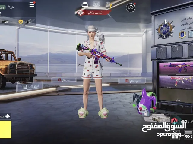 Pubg Accounts and Characters for Sale in Basra