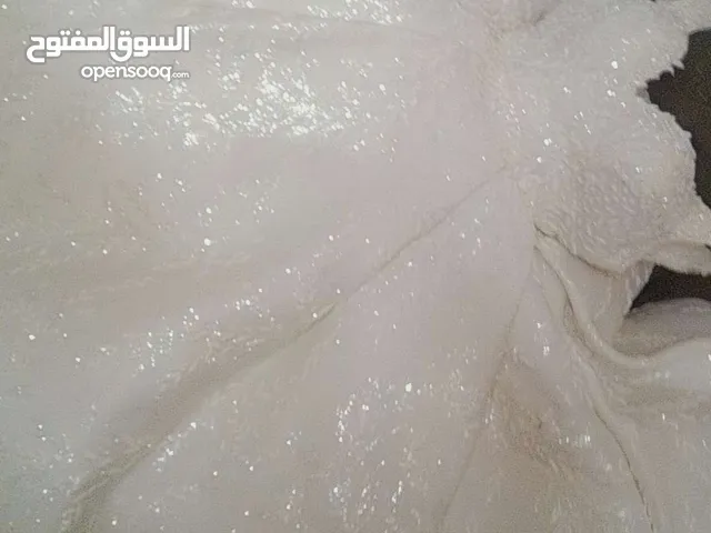 بدلة عرس بيضة للبيع