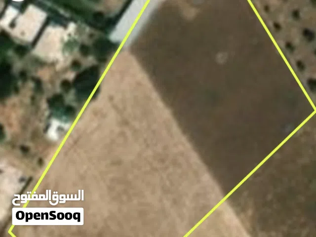Farm Land for Sale in Salt Al Subeihi