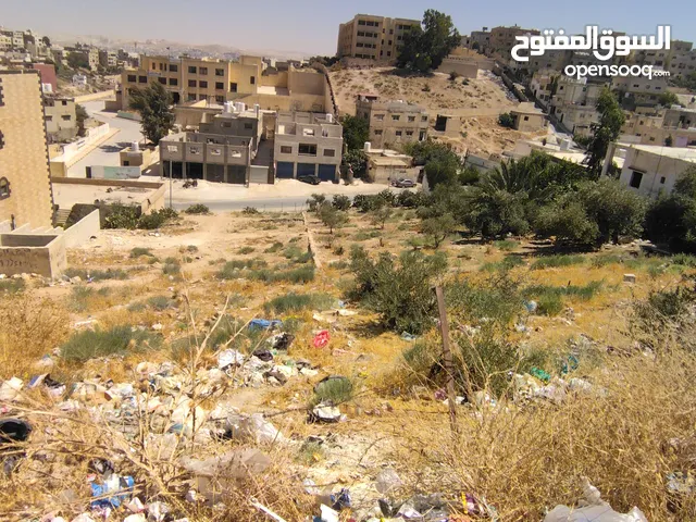 Residential Land for Sale in Zarqa Al-Qadisyeh - Rusaifeh