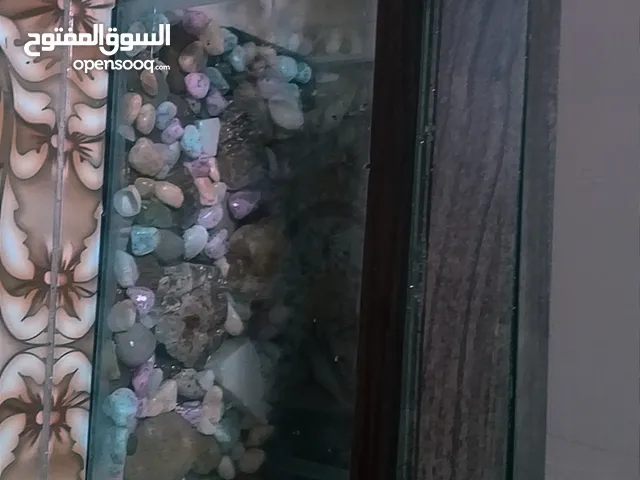 حوض سمك للبيع للبيع للبيع