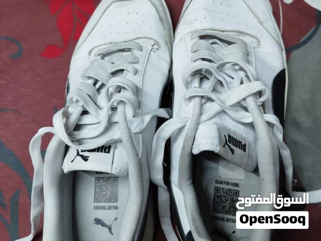 Puma sneaker for sale