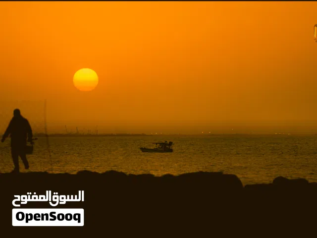 مشاركة سكن الفروانية