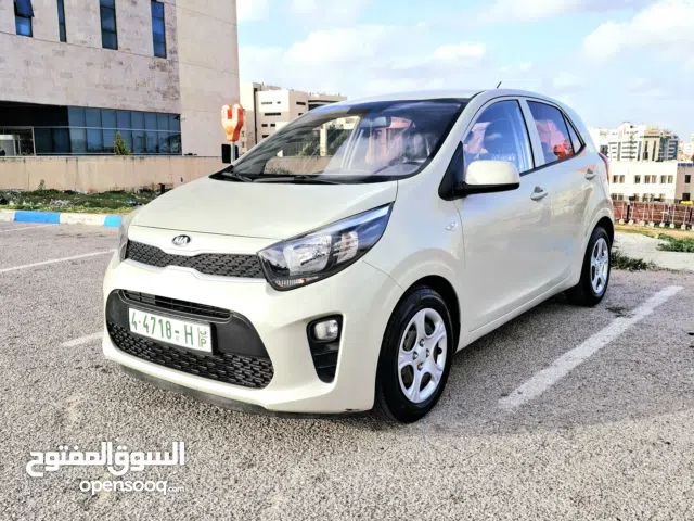 كيا بيكانتو 2019  ولا غرام بويا دهان الشركة