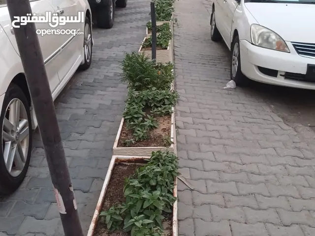 احواض زرع عصريه وبحاله ممتازه عدد 10 حبات سعر الحبه الواحده 20 دينار