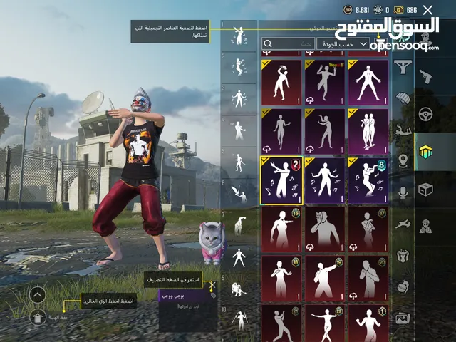 Pubg Accounts and Characters for Sale in Mafraq